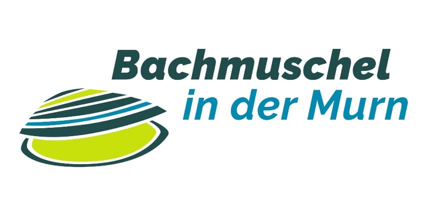 Bachmuschel in der Murn - Logo