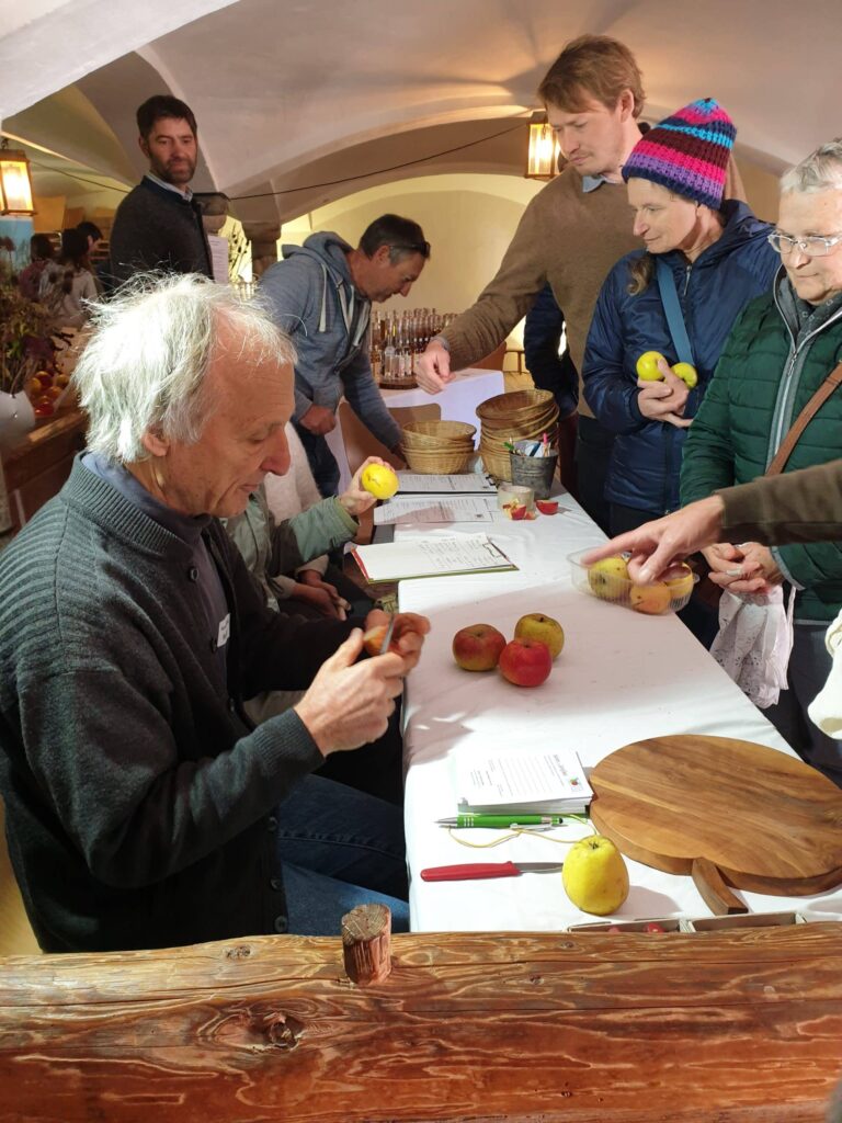 Der deutschlandweit führende Pomologe Hans-Joachim Bannier begutachtete die Fruchtproben der Besucherinnen und Besucher und versuchte, die Sorte zu bestimmen. (Foto: Roman Pröll/Landratsamt Rosenheim)