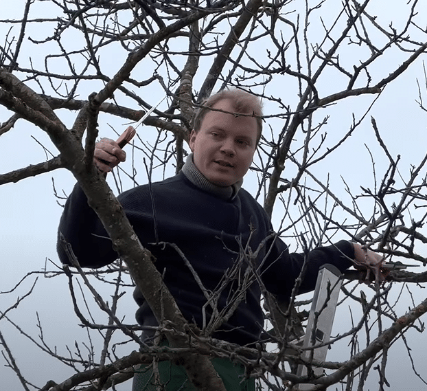 Martin Landes ist der neue Streuobstberater im Landkreis Rosenheim. Neben Schnittkursen und Vorträgen ist er zentraler Ansprechpartner zur Pflege und Pflanzung von Obstbäumen. (Foto: Landratsamt Rosenheim)