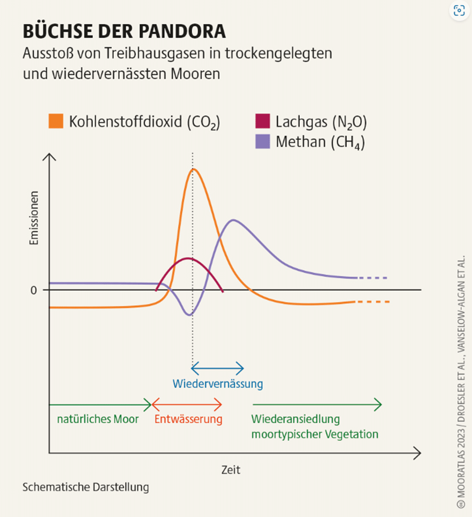 Infografik - Büchse der Pandora; Ausstoß von Treibhausgasen in trockengelegten und wiedervernässten Mooren