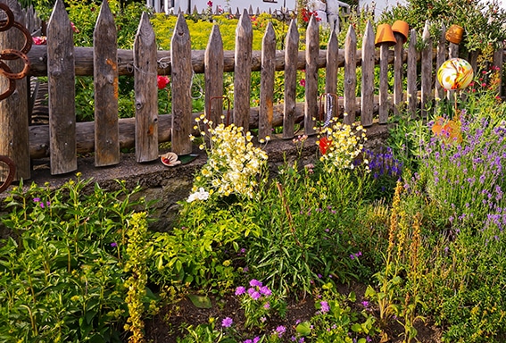 Abbildung zeigt: Gartenzaun mit Blumen