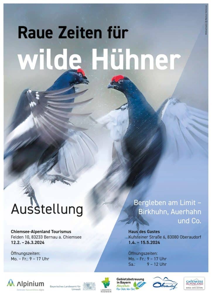 Ausstellungsplakat mit zwei auffliegenden Vögeln und der Überschrift "Raue Zeiten für wilde Hühner".
