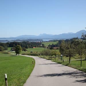 Foto Roman Pr&ouml;ll; Stra&szlig;e mit Obstb&auml;umen und Blick auf Cheimsee